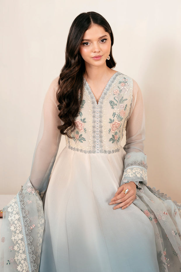 Beaded Sleeve Chiffon Frock with Embroidery