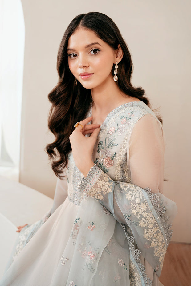 Elegant Embroidered Chiffon Party Dress