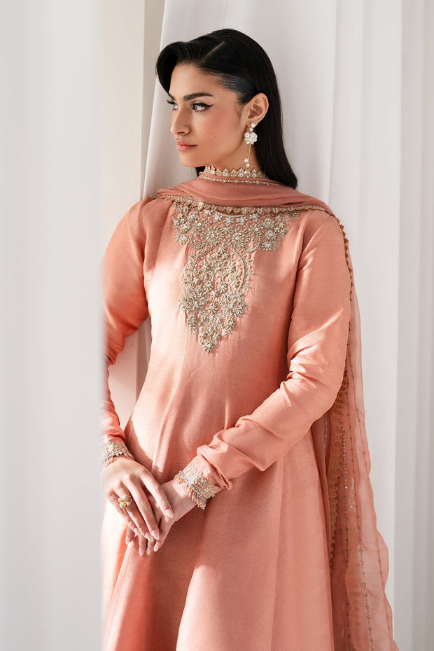 Embroidered Silk Dress Set