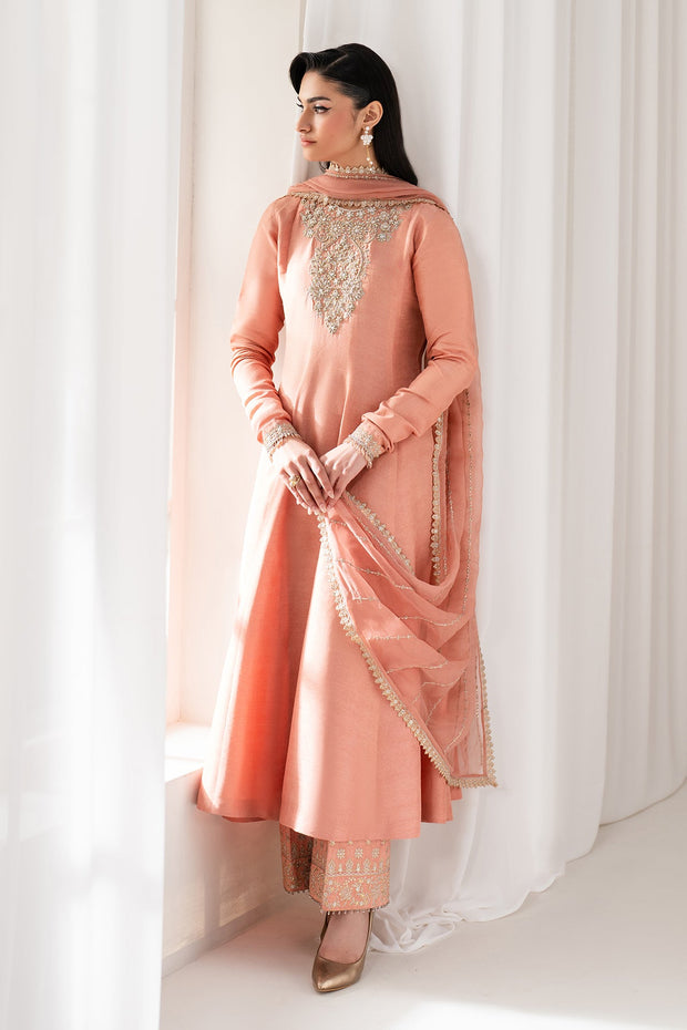 Elegant Pakistani Party Dress