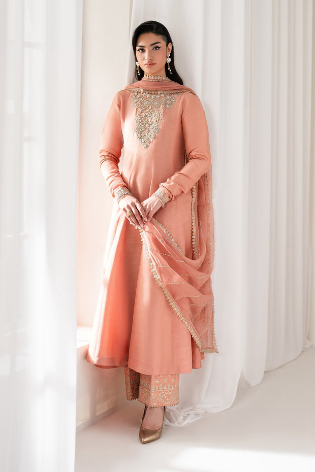 Stylish Silk and Chiffon Ensemble