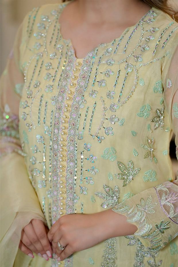 Lime Embroidered Organza Ensemble With Dupatta Pakistani