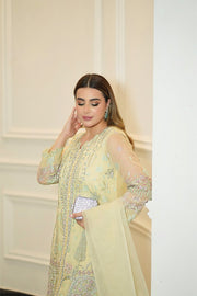 Lime Embroidered Organza Ensemble With Dupatta Pakistani
