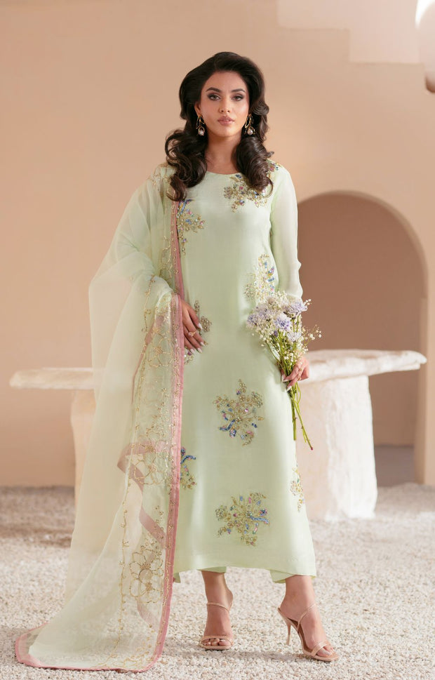 Mint Green Pakistani Party Dress with Exquisite Embellishments