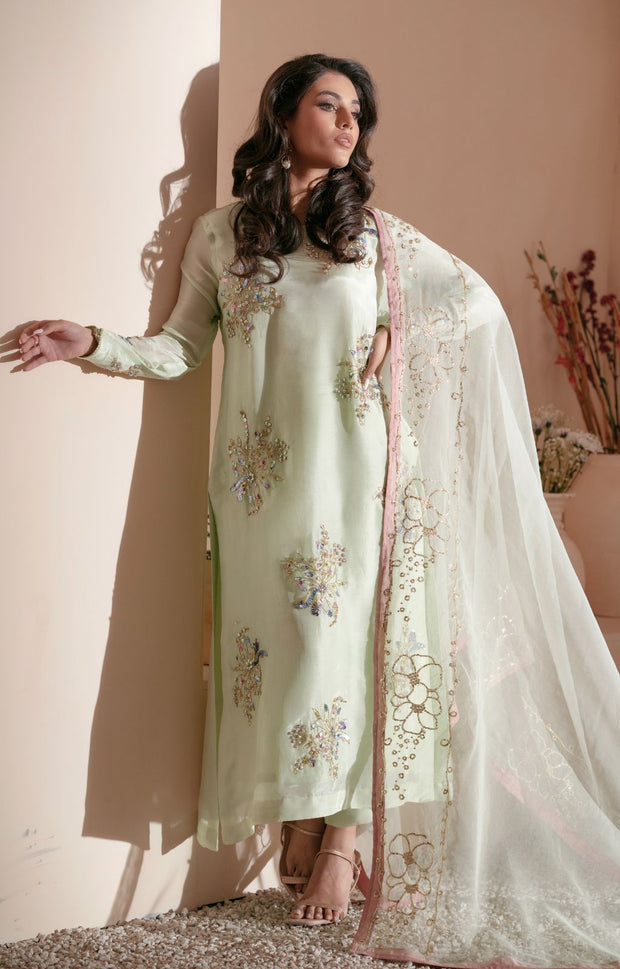 Mint Green Pakistani Party Dress with Exquisite Embellishments