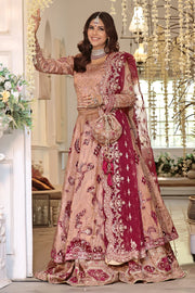 Elegant Pakistani Bridal Dress in Rose Pink & Maroon with Embroid
