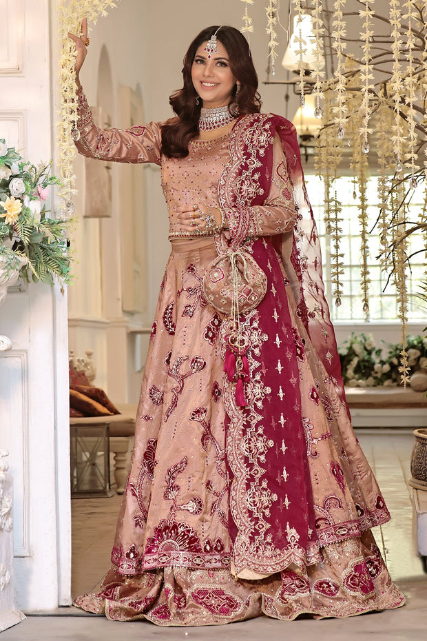 Elegant Pakistani Bridal Dress in Rose Pink & Maroon with Embroid