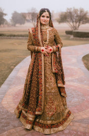 Exquisite Pakistani Bridal Lehenga with Organza Dupatta