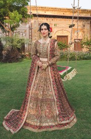 Exquisite Pakistani Bridal Lehenga with Organza Dupatta