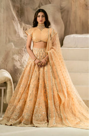 Elegant Embroidered Organza Pakistani Bridal Suit