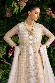 Elegant Embroidered Net Pakistani Party Dress