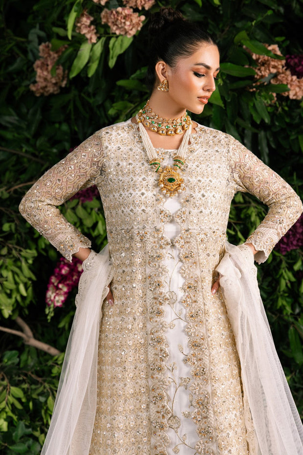Elegant Embroidered Net Pakistani Party Dress