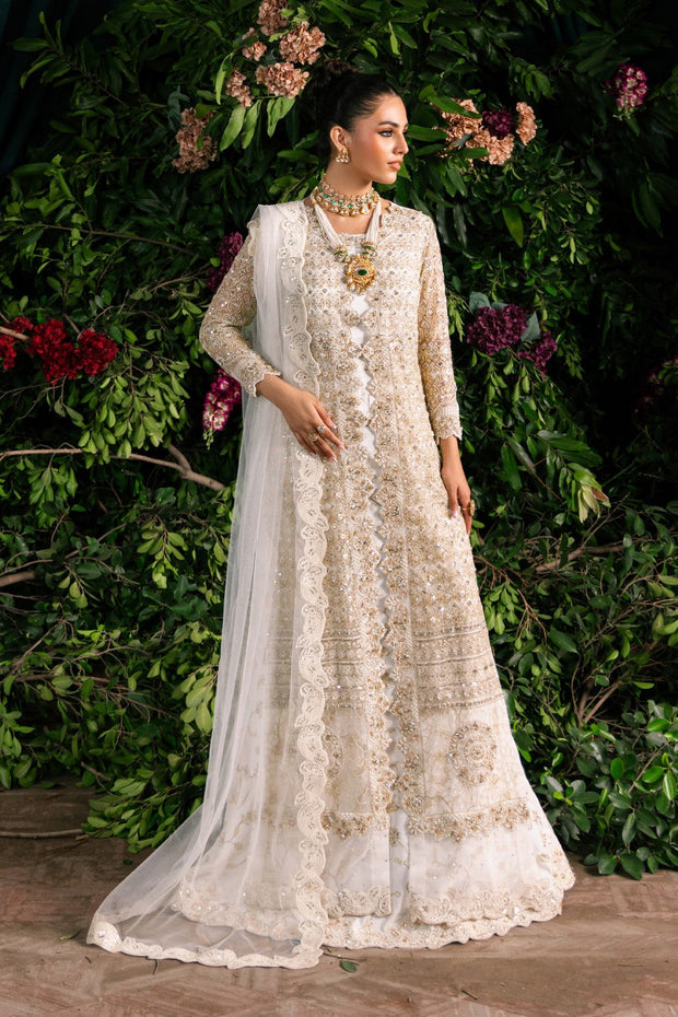 Elegant Embroidered Net Pakistani Party Dress