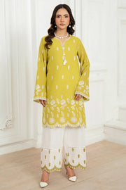 Embroidered Cotton Shirt And Trouser Set 6E61