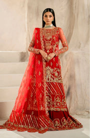 Elegant Embroidered Net Pakistani Designer Dress