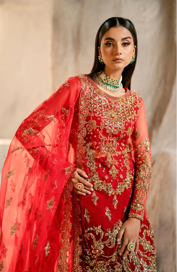Elegant Embroidered Net Pakistani Designer Dress