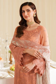 Chiffon Embroidered Ensemble