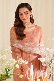Chiffon Embroidered Ensemble