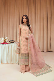 Baby Pink Embroidered Pakistani Kameez Trousers Wedding Dress