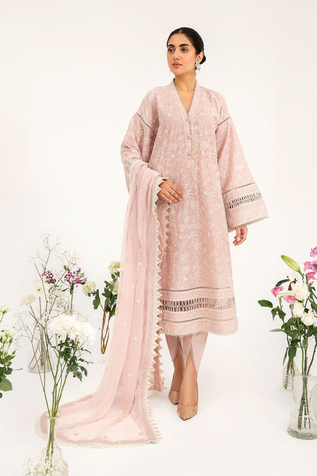 Baby Pink Embroidered Pakistani Salwar Kameez Dupatta Salwar Suit