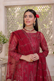 Beautiful Red Pakistani Embroidered Salwar Kameez with Dupatta