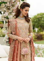 Beautiful Designer Embroidered Dress in Rose Gold Color