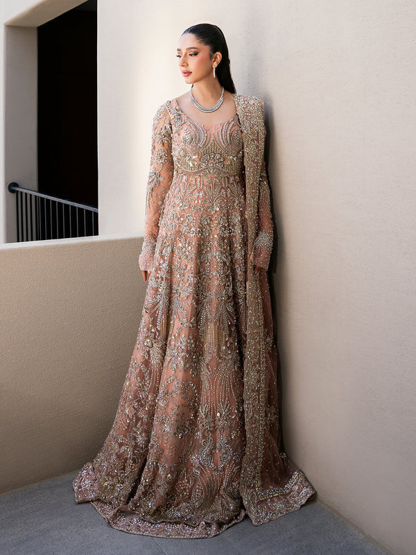 Elegant Blush Pink Pakistani Bridal Dress & Lehenga