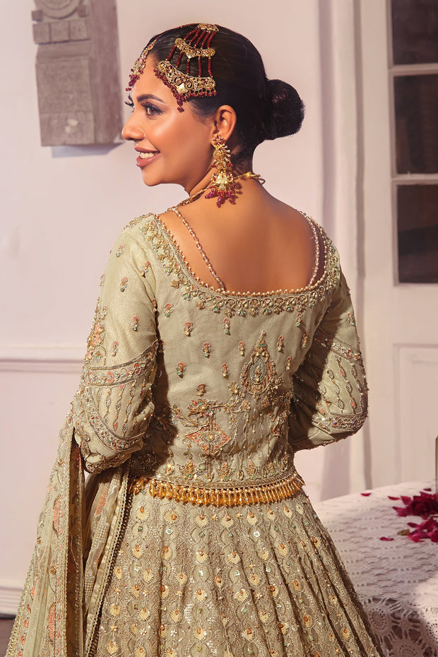 Bridal Dress Beige Net Lehenga Choli for Wear