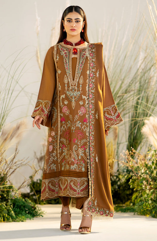 Brown Elegant Pakistani Salwar Kameez Dupatta Embroidered Suit