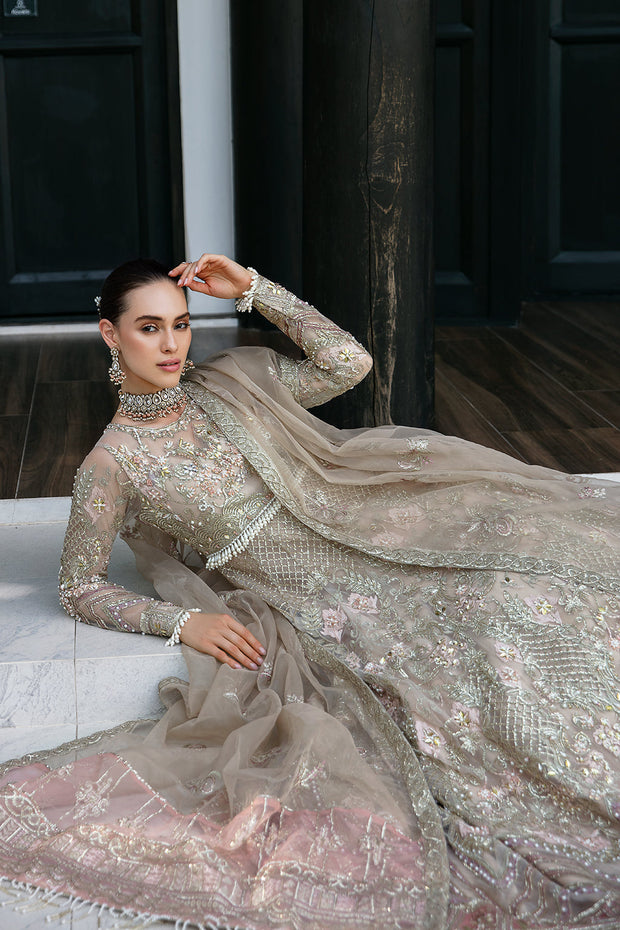 Buy Classic Pink Embroidered Pakistani Wedding Dress in Pishwas Style 2023