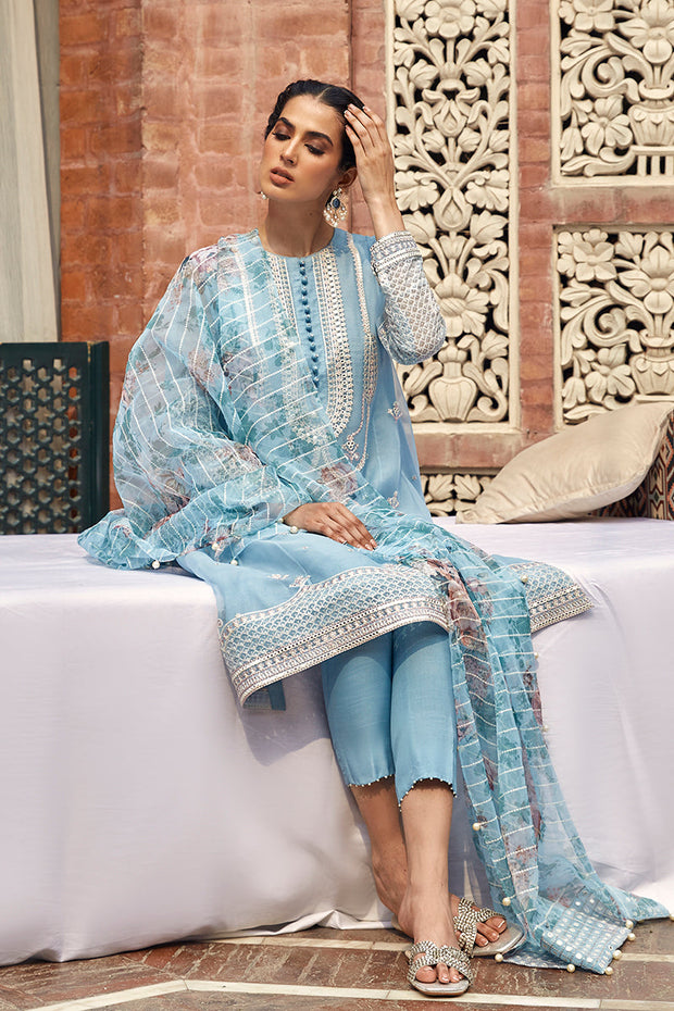 Buy Classic Sky Blue Embroidered Pakistani Salwar Kameez with Dupatta 2023