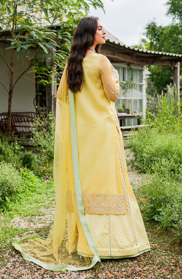 Buy Classic Yellow Embroidered Pakistani Salwar Kameez in Plazo Style