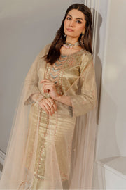 Buy Copper Embroidered Pakistani Salwar Kameez with Dupatta Salwar Suit