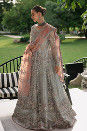 Buy Elegant Aqua Blue Embroidered Pakistani Wedding Dress Net Pishwas