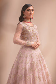 Buy Elegant Baby Pink Embroidered Pakistani Wedding dress Lehenga Choli 2023