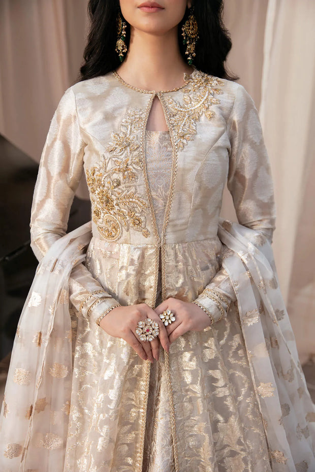 Buy Elegant Rose Gold Embroidered Pakistani Wedding Dress Gown Pishwas