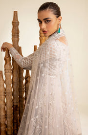 Buy Elegant Silver Thorn Pakistani Wedding Dress Pishwas Frock Style 2023