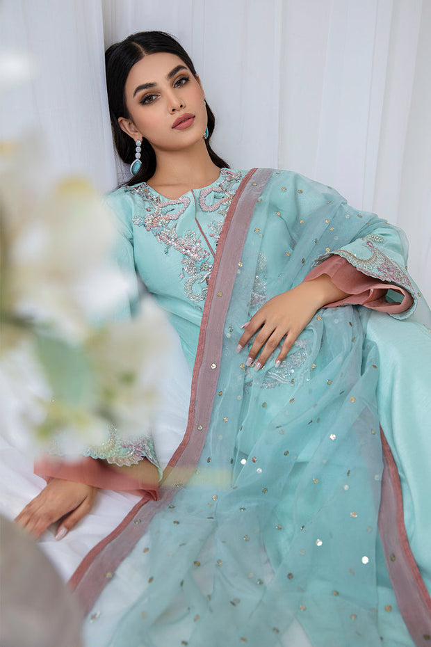 Buy Elegant Sky Blue Embroidered Pakistani Salwar Kameez Dupatta Suit 2023