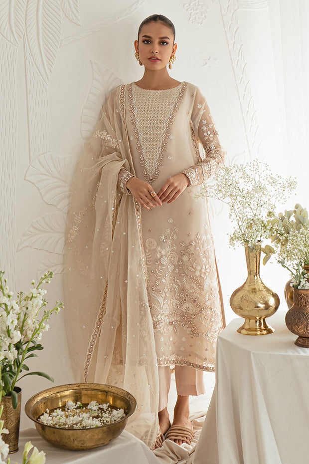 Buy Elegantly Embellished Dusty Brown Pakistani Salwar Kameez Dupatta