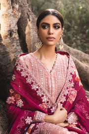 Buy Embroidered Pakistani Salwar Kameez Dupatta Burnt Blush Salwar Suit 2023