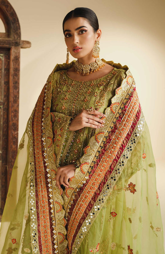 Premium Lime Green Embellished Pakistani Kameez Salwar Suit – Nameera ...