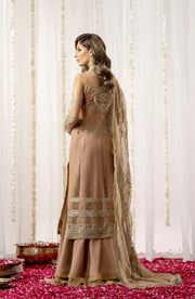 Buy Luxury Beige Embroidered Pakistani Wedding Dress Gown Style Pishwas 2023