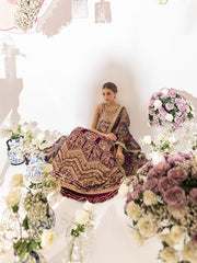 Buy Luxury Embellished Pakistani Wedding Dress Maroon Pishwas Style 2023