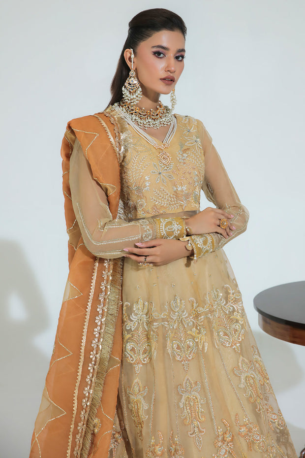 Buy Luxury Gold Floral Embellished Pakistani Wedding Dress in Pishwas Style 2023