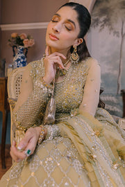 Buy Luxury Mint Green Embroidered Pakistani Wedding Dress Pishwas Style