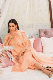 Buy Luxury Pakistani Peach Salwar Suit Embroidered Salwar Kameez 2023