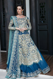 Buy Luxury Pakistani Wedding Dress Embroidered Gown Pishwas in Blue Shade