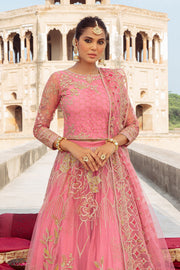 Buy Luxury Pink Embroidered Pakistani Wedding Dress Lehenga Choli 2023