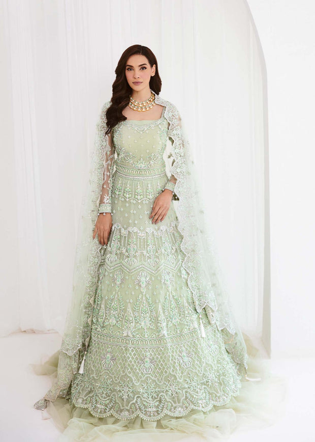 Buy Mint Green Embroidered Huge Flare Pishwas Pakistani Wedding Dress 2023
