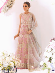 Buy Pink Heavily Embellished Pakistani Wedding Dress Pishwas Frock 2023